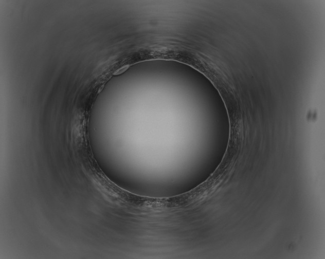 X0000091170914200708231502