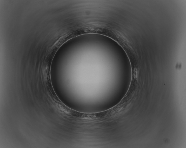 X0000091170915200708231502