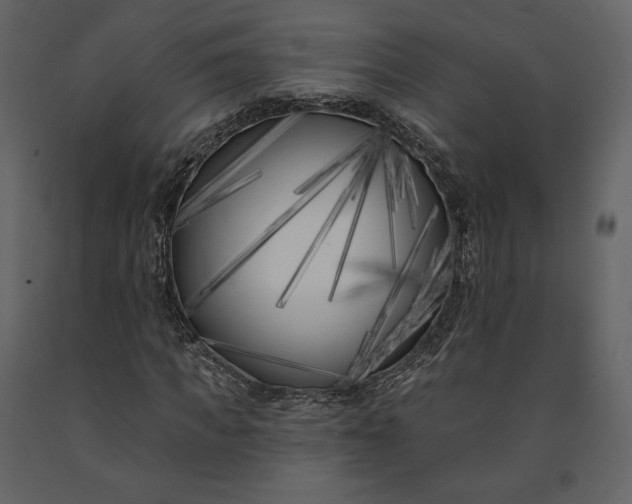 X0000091170917200708231502