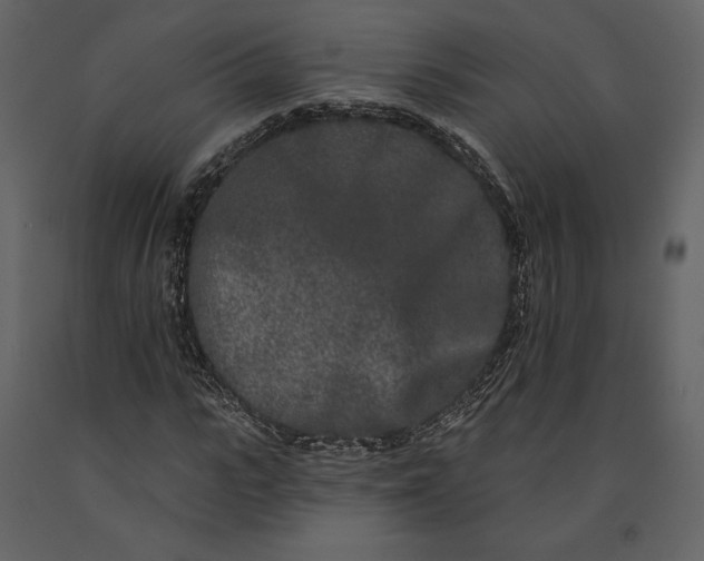 X0000091170919200708231502