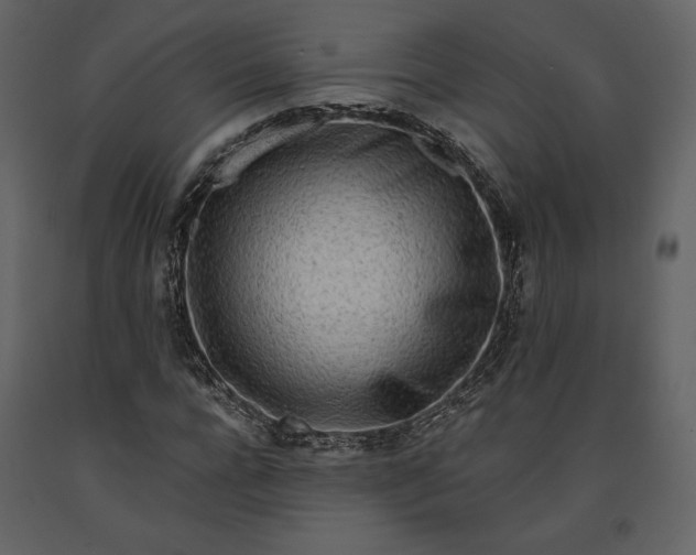 X0000091170920200708231502