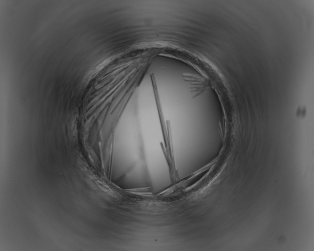 X0000091170921200708231502