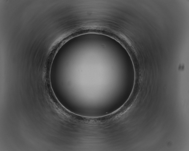 X0000091170922200708231502