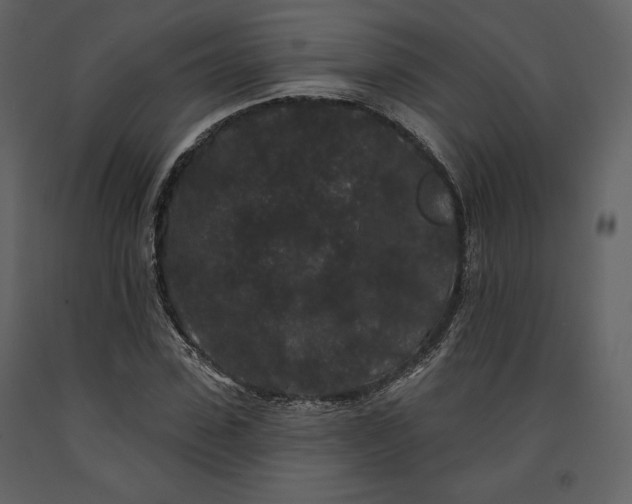 X0000091170923200708231502