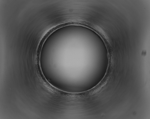 X0000091170924200708231502