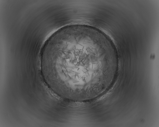 X0000091170925200708231502