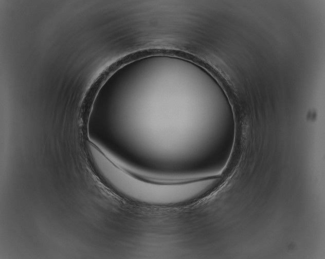 X0000091170926200708231502