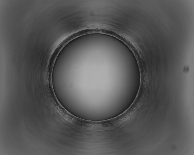 X0000091170927200708231502