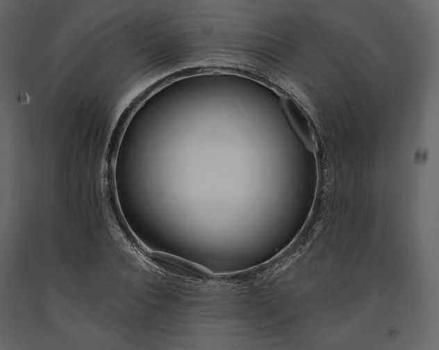 X0000091170928200708231502