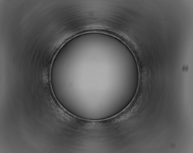 X0000091170929200708231502