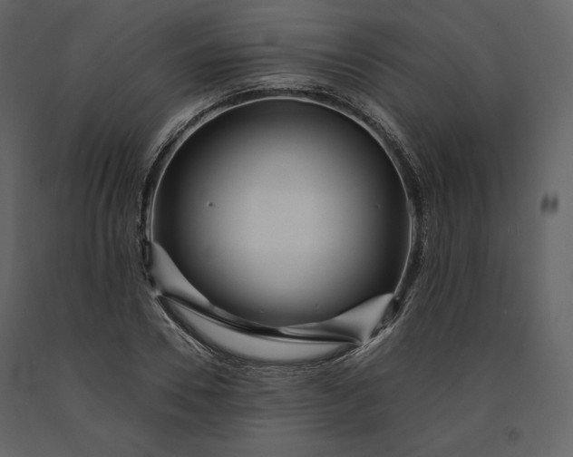 X0000091170930200708231502