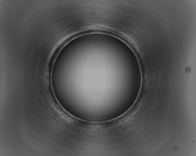 X0000091170931200708231502