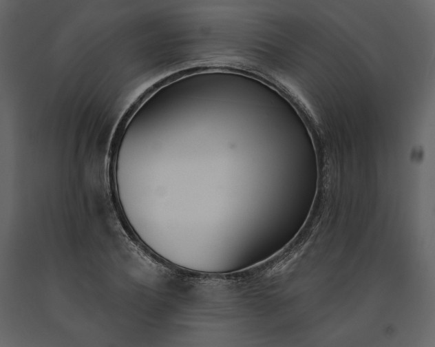 X0000091170932200708231502