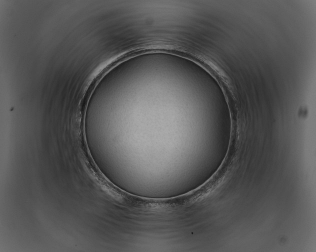 X0000091170933200708231502