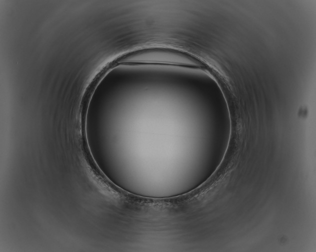 X0000091170934200708231502