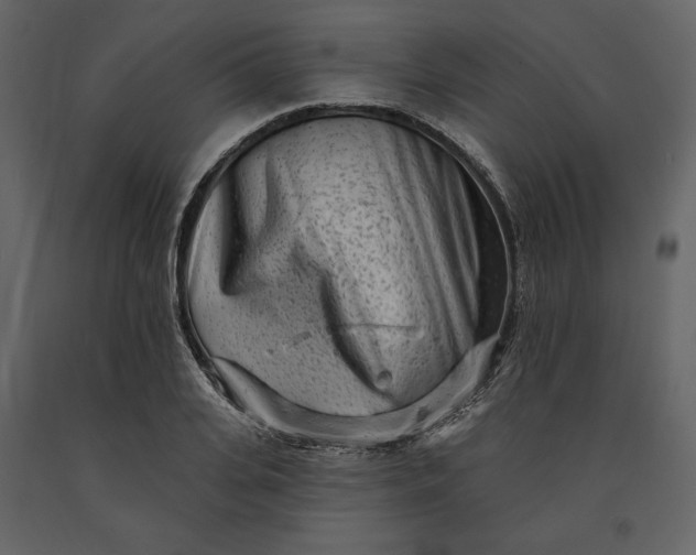 X0000091170935200708231502