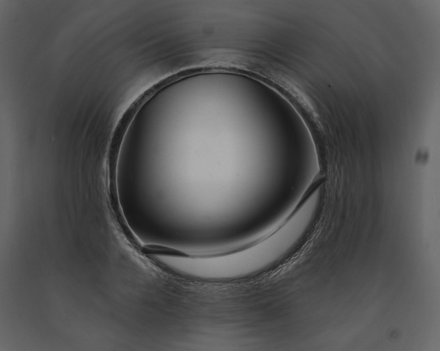 X0000091170936200708231502