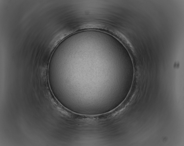 X0000091170937200708231502