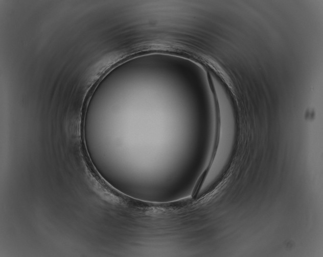 X0000091170938200708231502