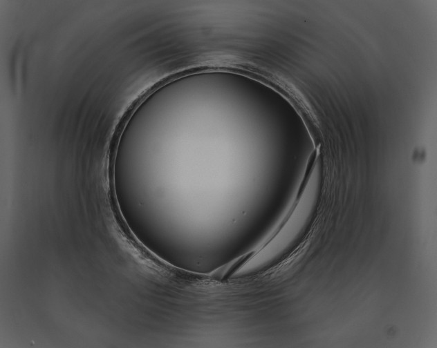 X0000091170939200708231502