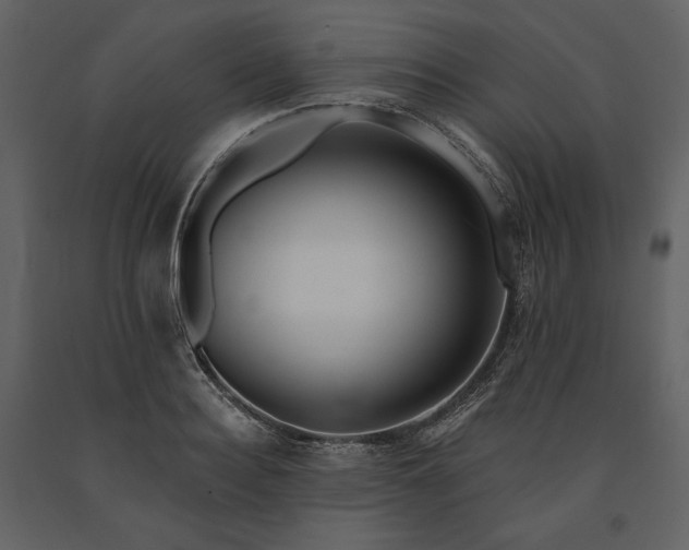 X0000091170940200708231502