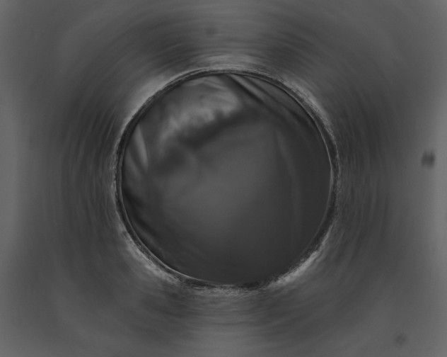 X0000091170941200708231502