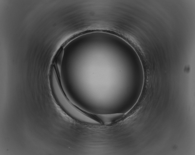 X0000091170942200708231502