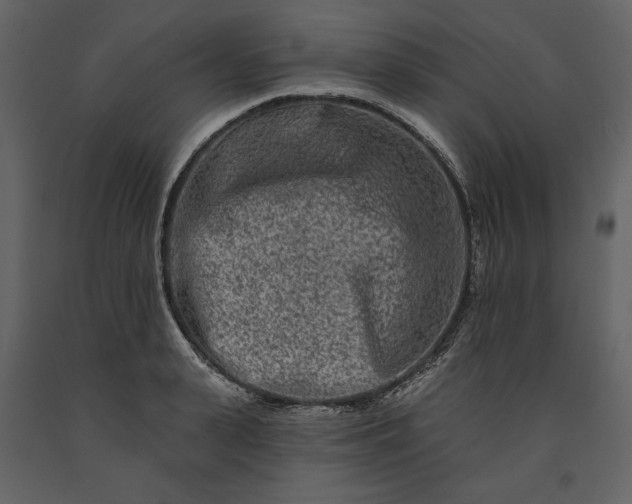 X0000091170943200708231502