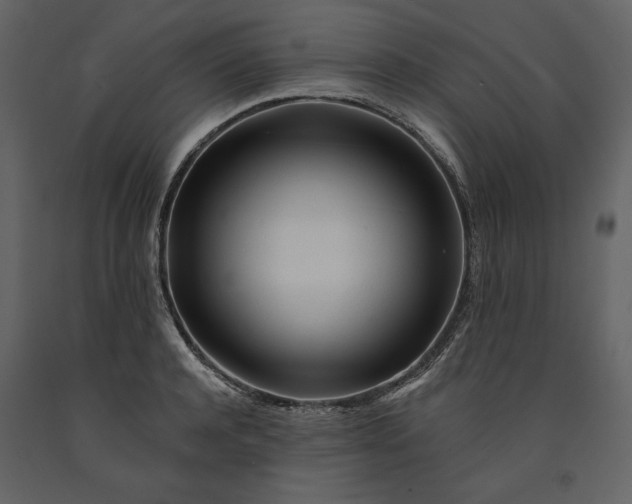 X0000091170944200708231502