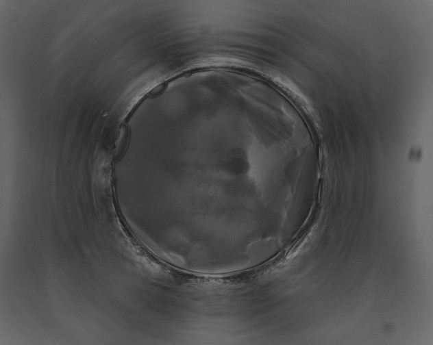 X0000091170945200708231502