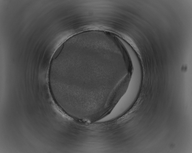 X0000091170946200708231502