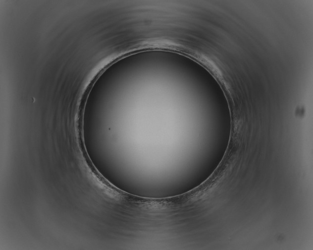 X0000091170947200708231502