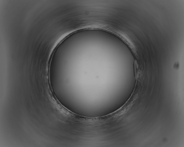 X0000091170948200708231502