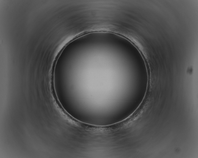 X0000091170949200708231502