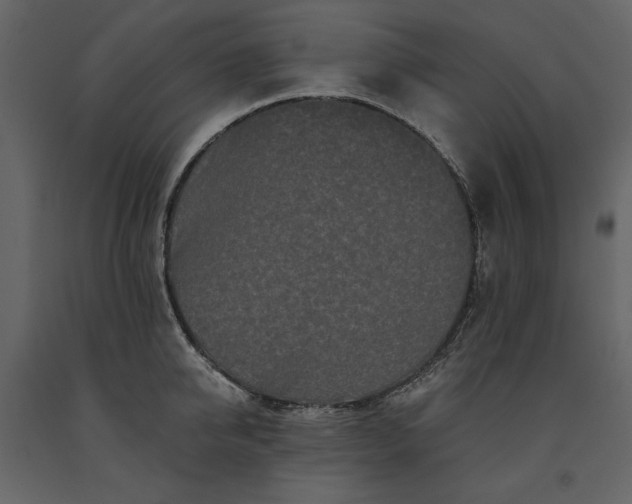 X0000091170950200708231502