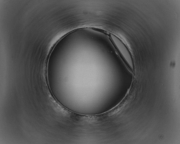 X0000091170952200708231502