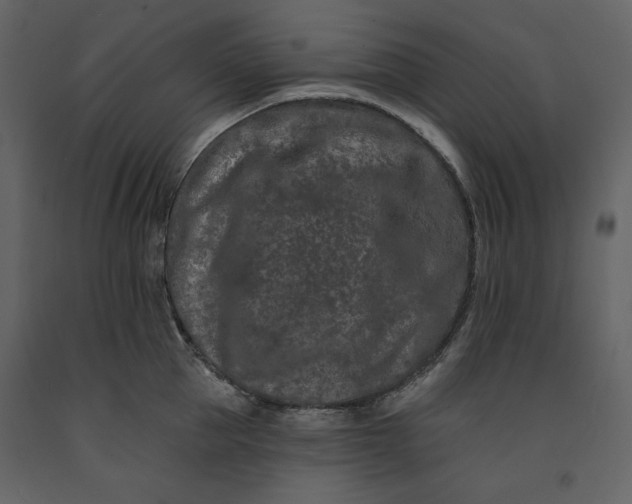 X0000091170953200708231502