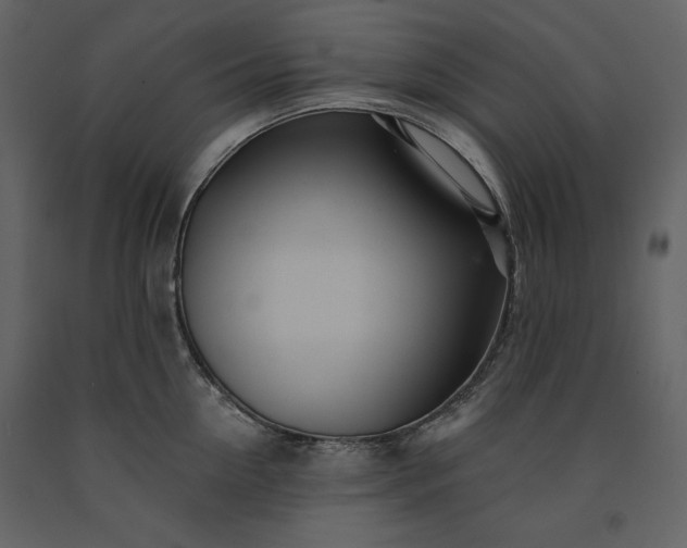 X0000091170954200708231502