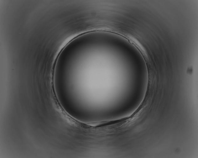 X0000091170956200708231502