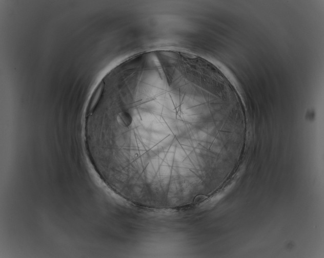 X0000091170957200708231502