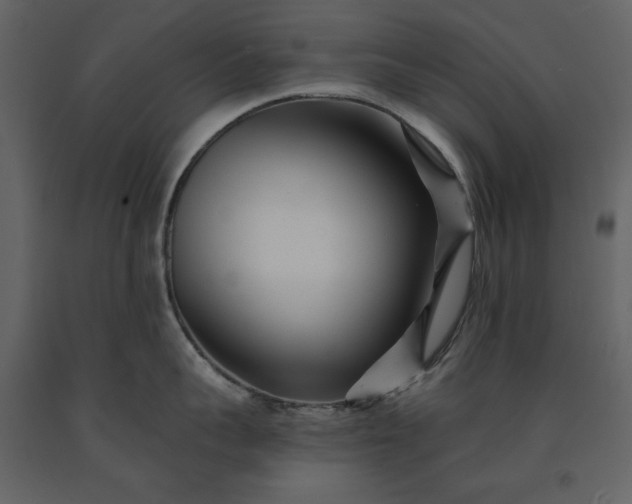 X0000091170959200708231502