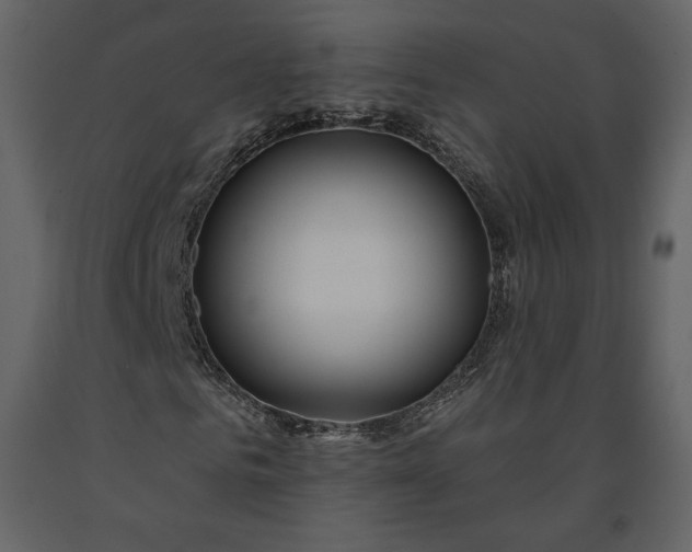 X0000091170961200708231502