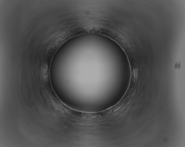 X0000091170963200708231502