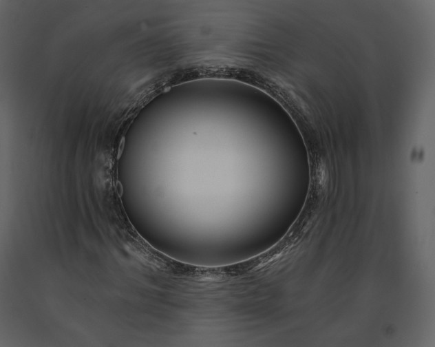 X0000091170964200708231502