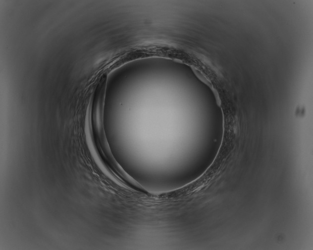 X0000091170965200708231501