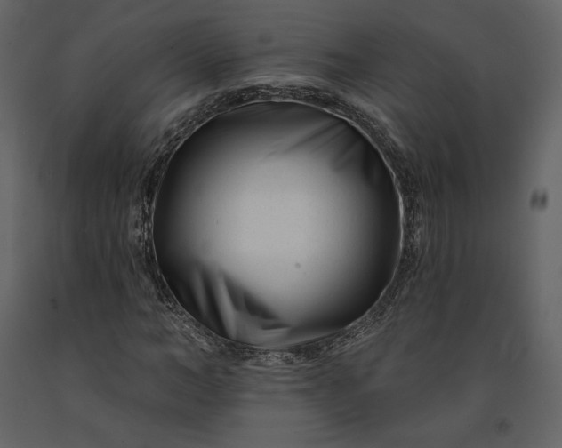 X0000091170966200708231501