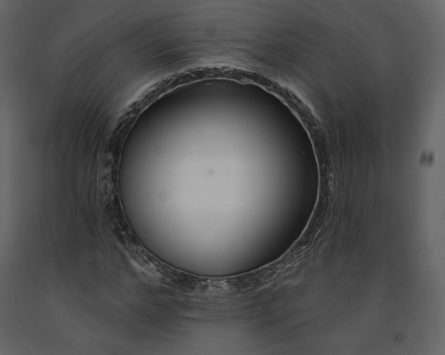 X0000091170968200708231501