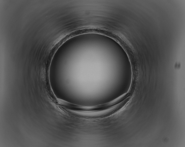 X0000091170969200708231501