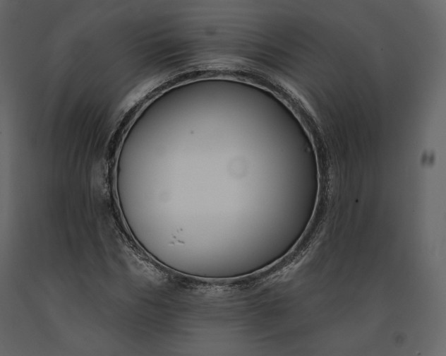 X0000091170970200708231501