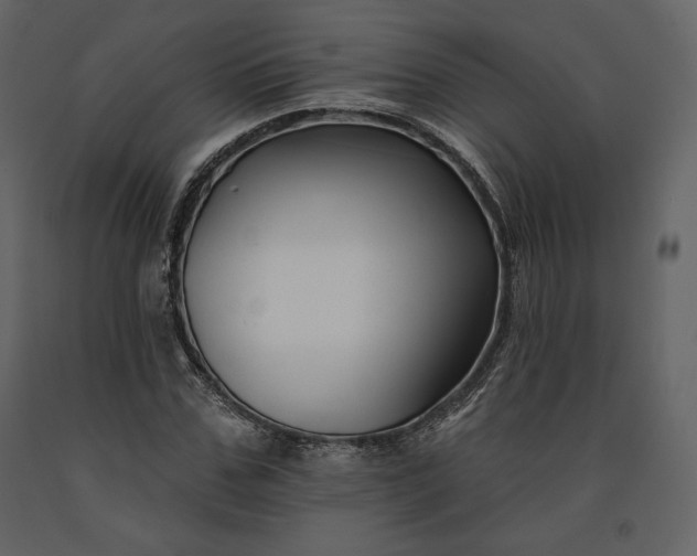 X0000091170971200708231501